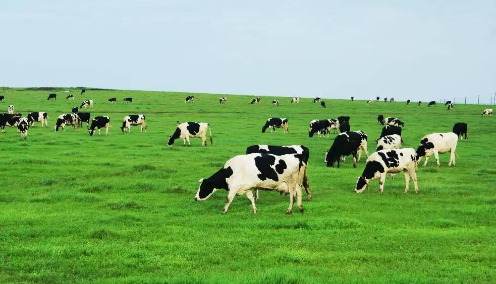 20170310104692689268