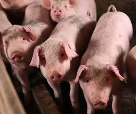 20190531165614671467